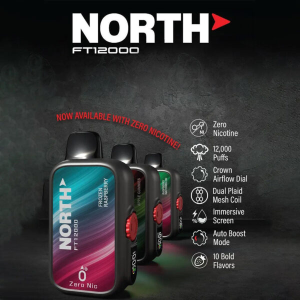 North FT 12K Zero Nicotine - Image 2